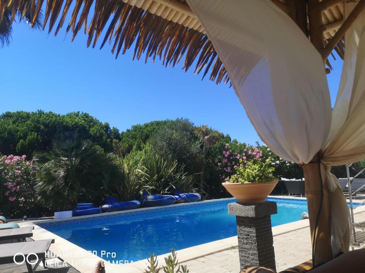 Les Fruitiers Agde Bagian luar foto